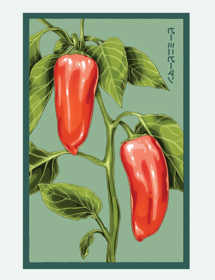 Fruit & Vegetable Seed Packets - 27 Varieties