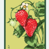 Fruit & Vegetable Seed Packets - 27 Varieties