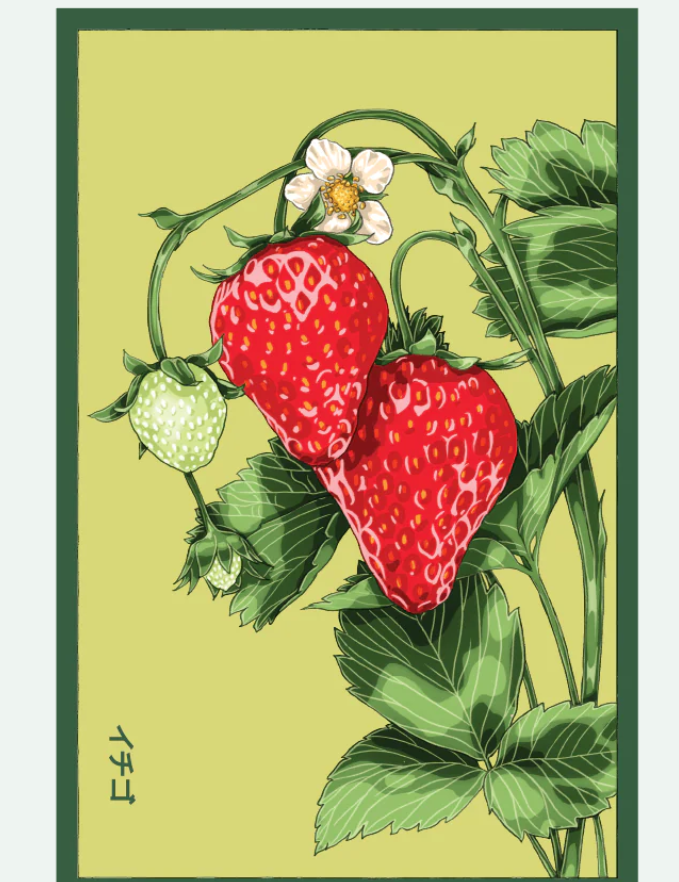 Fruit & Vegetable Seed Packets - 27 Varieties