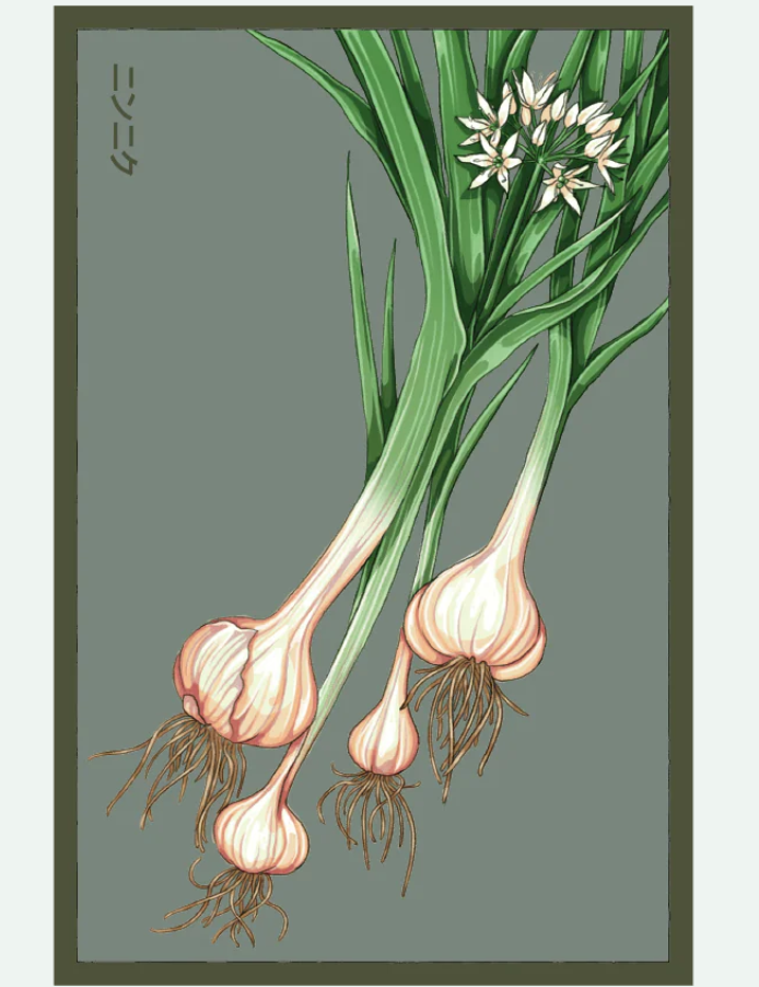 Fruit & Vegetable Seed Packets - 27 Varieties