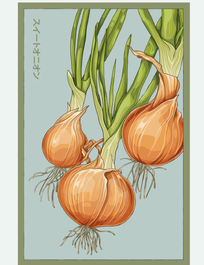 Fruit & Vegetable Seed Packets - 27 Varieties