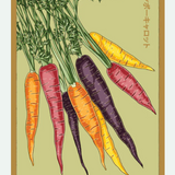 Fruit & Vegetable Seed Packets - 27 Varieties