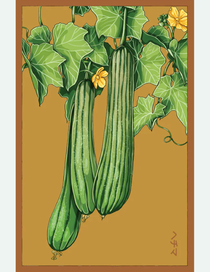 Fruit & Vegetable Seed Packets - 27 Varieties