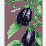 Fruit & Vegetable Seed Packets - 27 Varieties