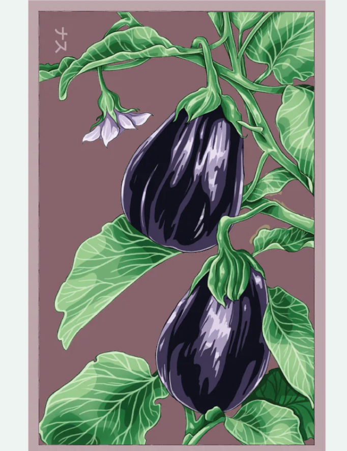 Fruit & Vegetable Seed Packets - 27 Varieties
