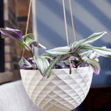 Mini Mofo Hanging Planter - 2 Colors