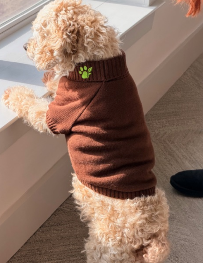 The Planted Pup Lena Sweater - 3 Colors/4 Sizes