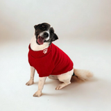 The Planted Pup Lena Sweater - 3 Colors/4 Sizes