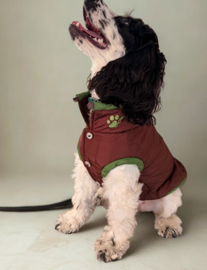 The Planted Pup Quilted Vest - 2 Colors/4 Sizes