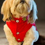 The Planted Pup Quilted Vest - 2 Colors/4 Sizes