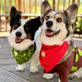 The Planted Pup Hoodie - 2 Colors/4 Sizes