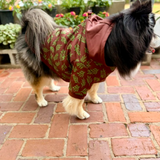 The Planted Pup Hoodie - 2 Colors/4 Sizes