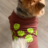 The Planted Pup Hoodie - 2 Colors/4 Sizes