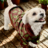 The Planted Pup Hoodie - 2 Colors/4 Sizes