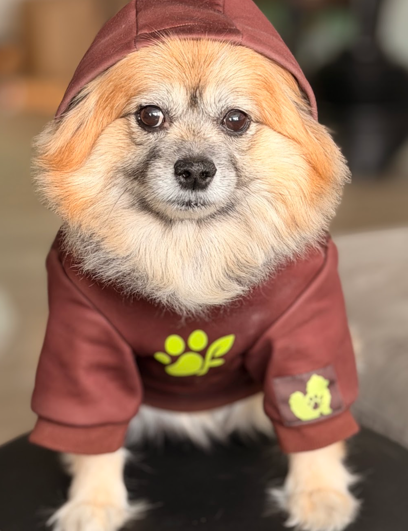 The Planted Pup Hoodie - 2 Colors/4 Sizes