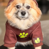 The Planted Pup Hoodie - 2 Colors/4 Sizes