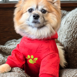 The Planted Pup Hoodie - 2 Colors/4 Sizes