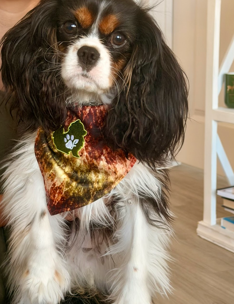 The Planted Pup Bandana - 3 Styles