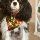 The Planted Pup Bandana - 3 Styles
