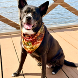 The Planted Pup Bandana - 3 Styles