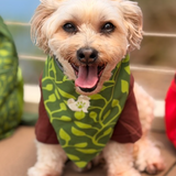 The Planted Pup Bandana - 3 Styles