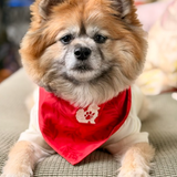 The Planted Pup Bandana - 3 Styles