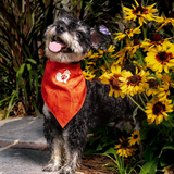 The Planted Pup Bandana - 3 Styles