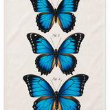 Blue Morpho Flour Sack Tea Towel