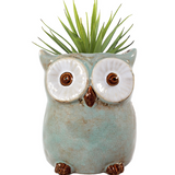 Amelie Owl Ceramic Planter