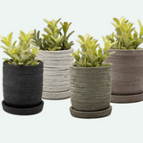 Paul Pot And Saucer - 4 Colors