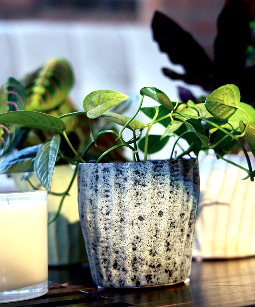 Katakana Ceramic Pot Planter - 5 Colors