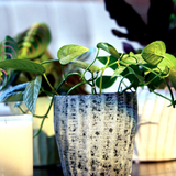 Katakana Ceramic Pot Planter - 5 Colors