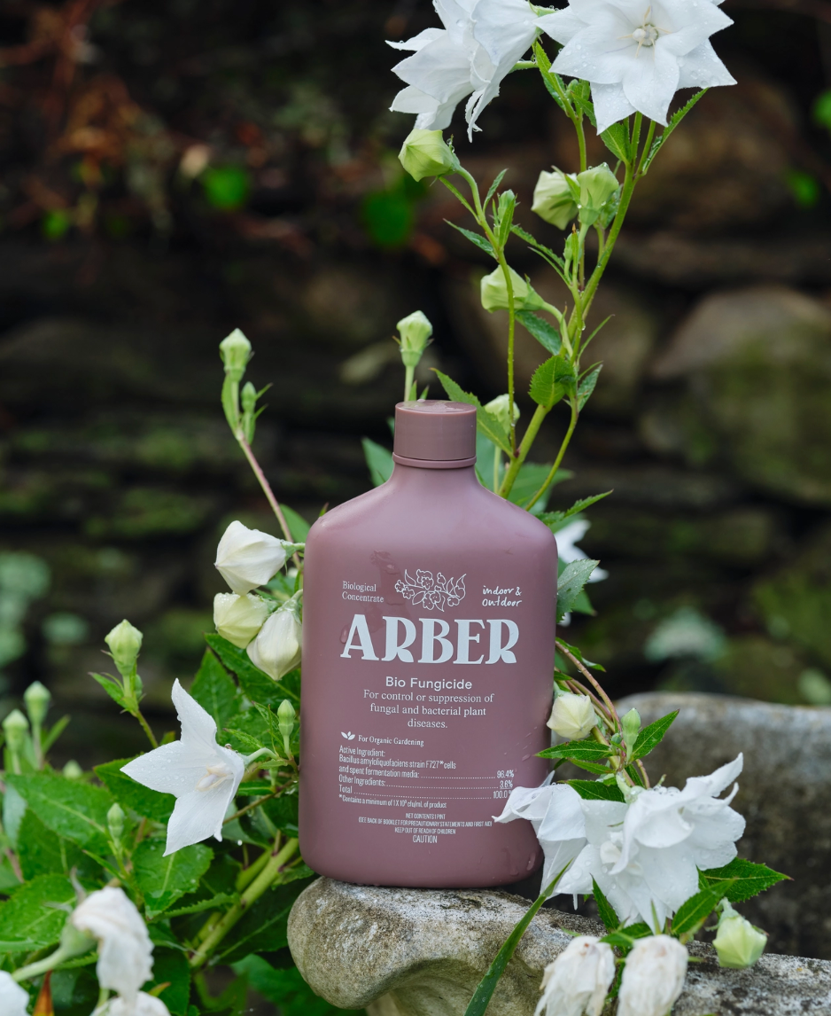 Arber Bio Fungicide Concentrate - 2 Sizes