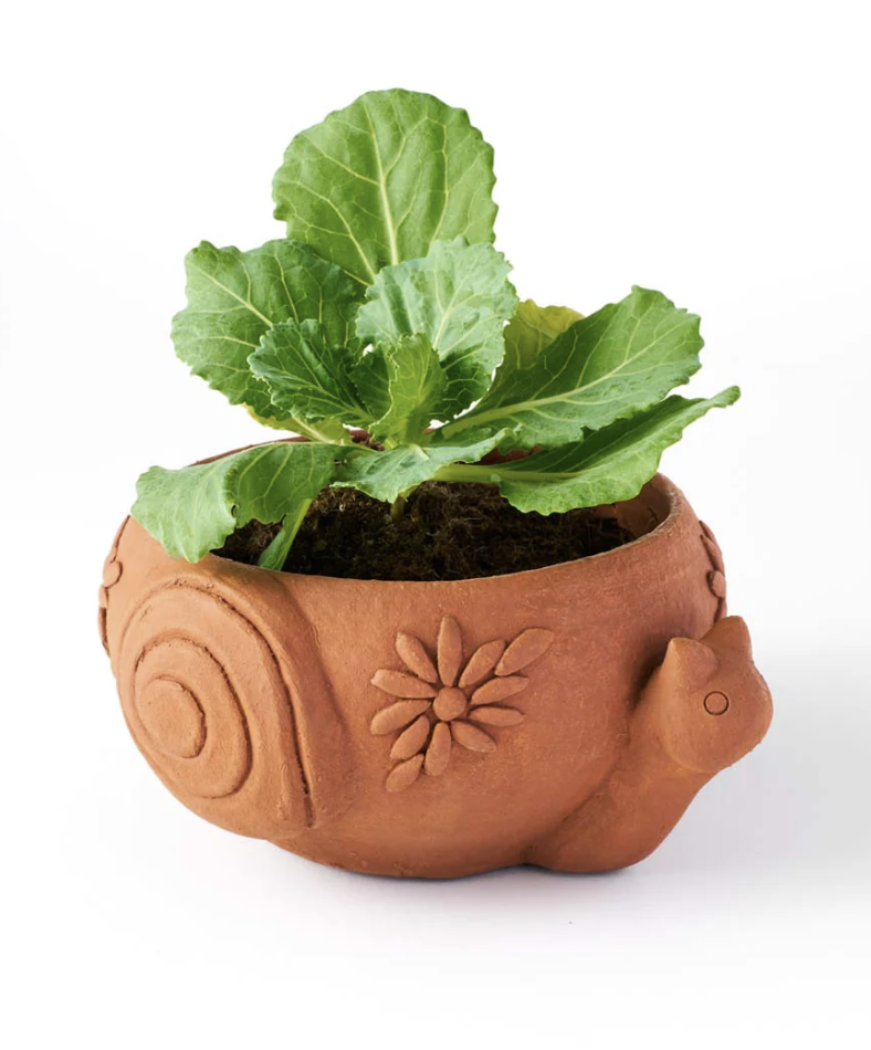 Rakshana Plant Pals - 8 Styles