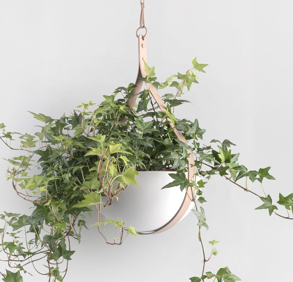 Waterdrop Shaped Hanging Planter