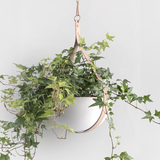 Waterdrop Shaped Hanging Planter