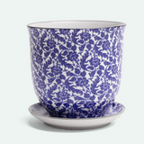 Liberte Porcelain Pot And Saucer - 8 Styles