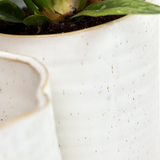 Channa Japanese Planter - 2 Colors