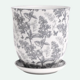 Liberte Porcelain Pot And Saucer - 8 Styles