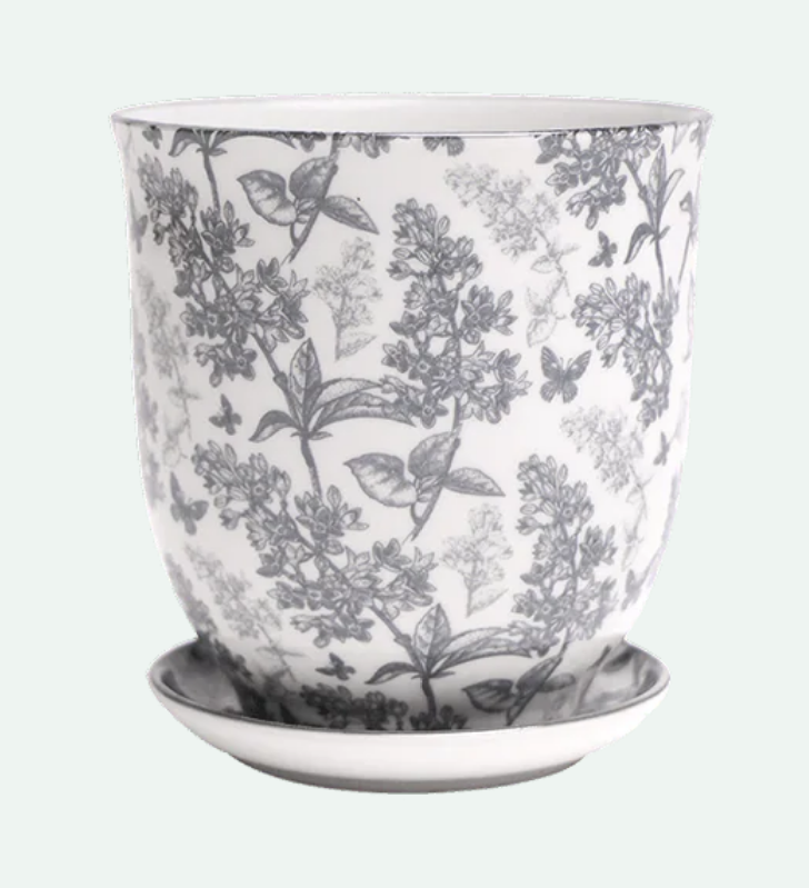 Liberte Porcelain Pot And Saucer - 8 Styles