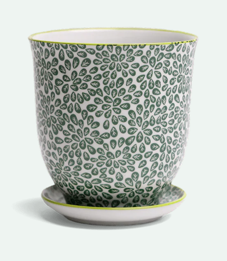 Liberte Porcelain Pot And Saucer - 8 Styles