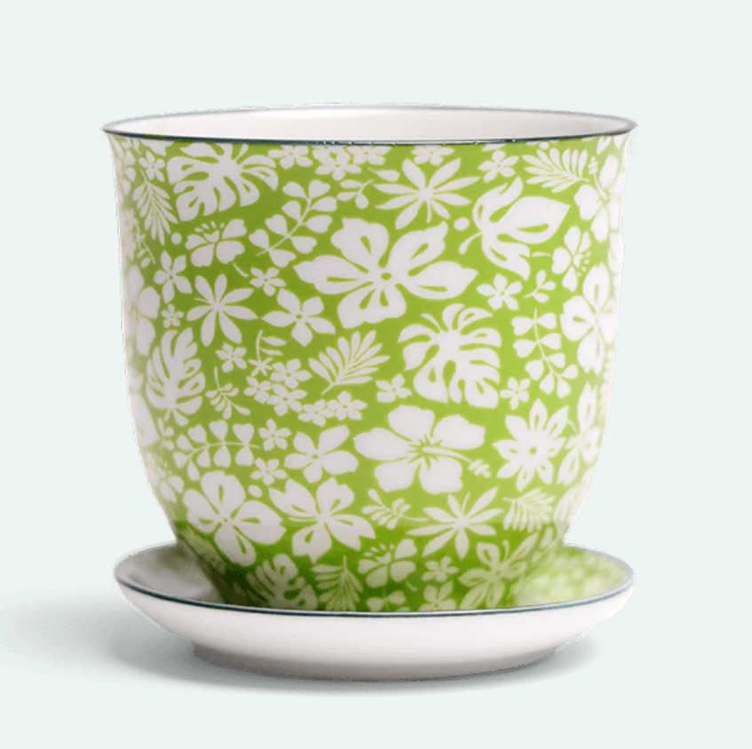 Liberte Porcelain Pot And Saucer - 8 Styles