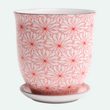 Liberte Porcelain Pot And Saucer - 8 Styles