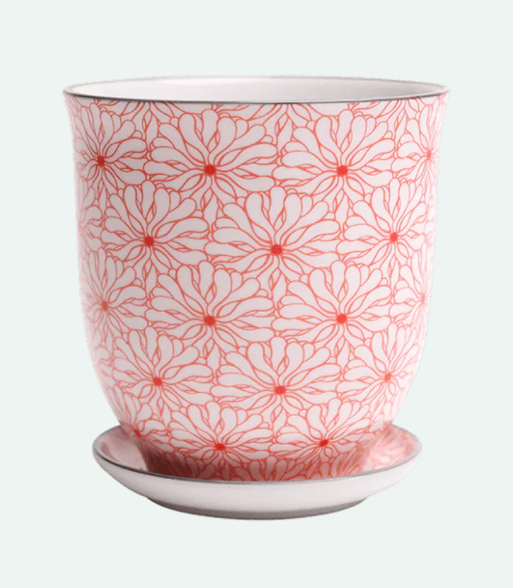 Liberte Porcelain Pot And Saucer - 8 Styles