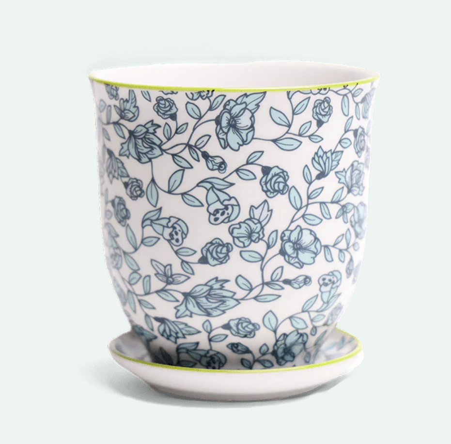 Liberte Porcelain Pot And Saucer - 8 Styles