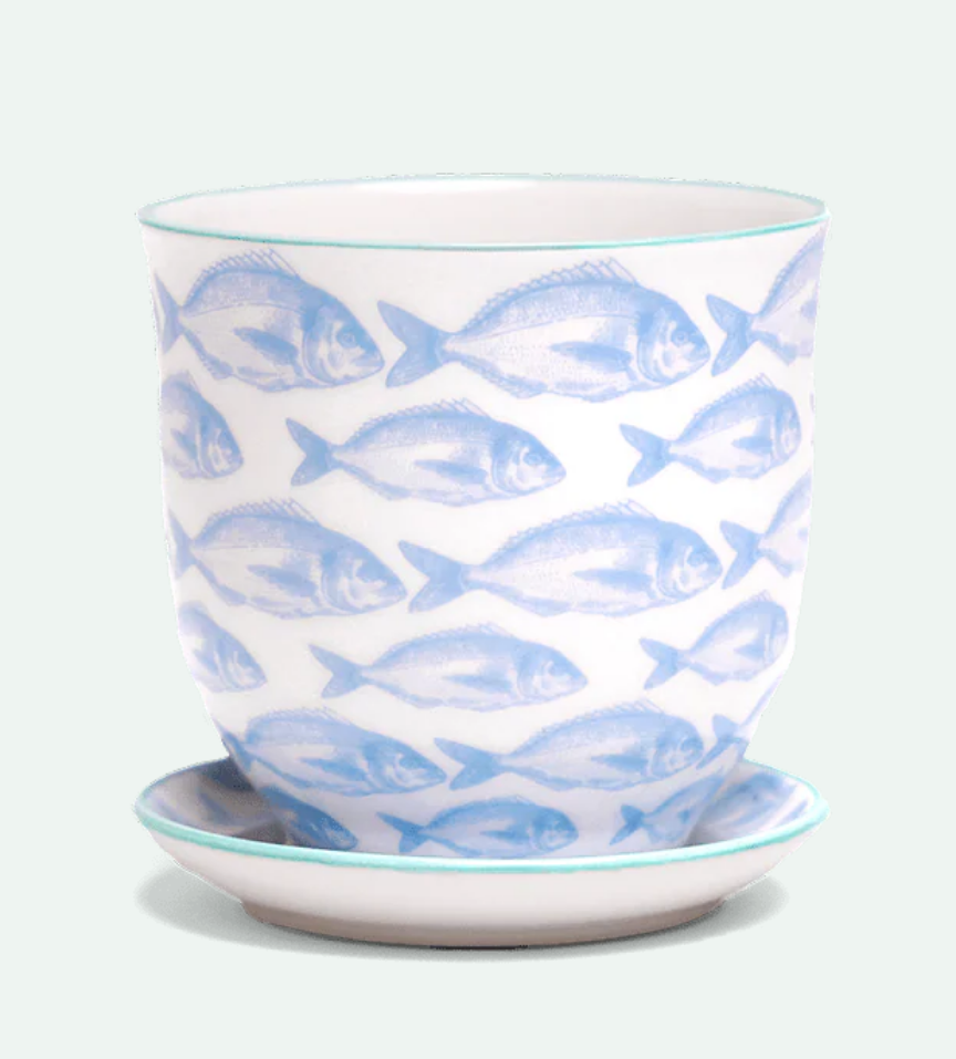 Liberte Porcelain Pot And Saucer - 8 Styles