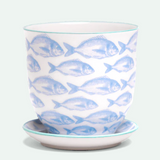 Liberte Porcelain Pot And Saucer - 8 Styles