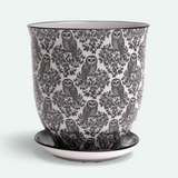 Liberte Porcelain Pot And Saucer - 20 Styles/2 Sizes