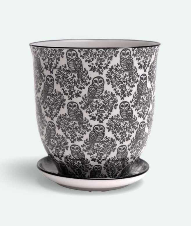 Liberte Porcelain Pot And Saucer - 12 Styles/2 Sizes