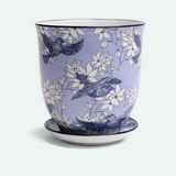Liberte Porcelain Pot And Saucer - 20 Styles/2 Sizes